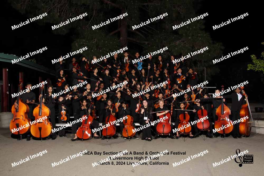 Musical Images